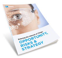 Entering IoT -Opportunity, Risk & Strategy Entering IoT -Opportunity, Risk & Strategy